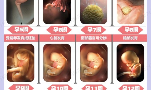 元胡片价格专区_元胡饮片价格专区_搜索浙江中药元胡价格网